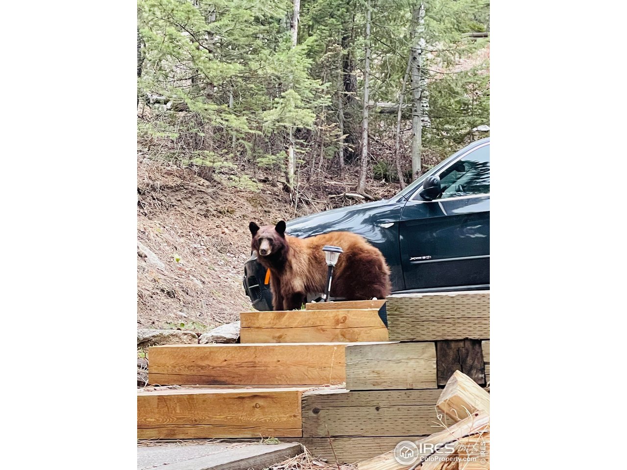 0 Hemlock Drive Lyons, CO 80540 - Photo 30 of 32 a view of entryway