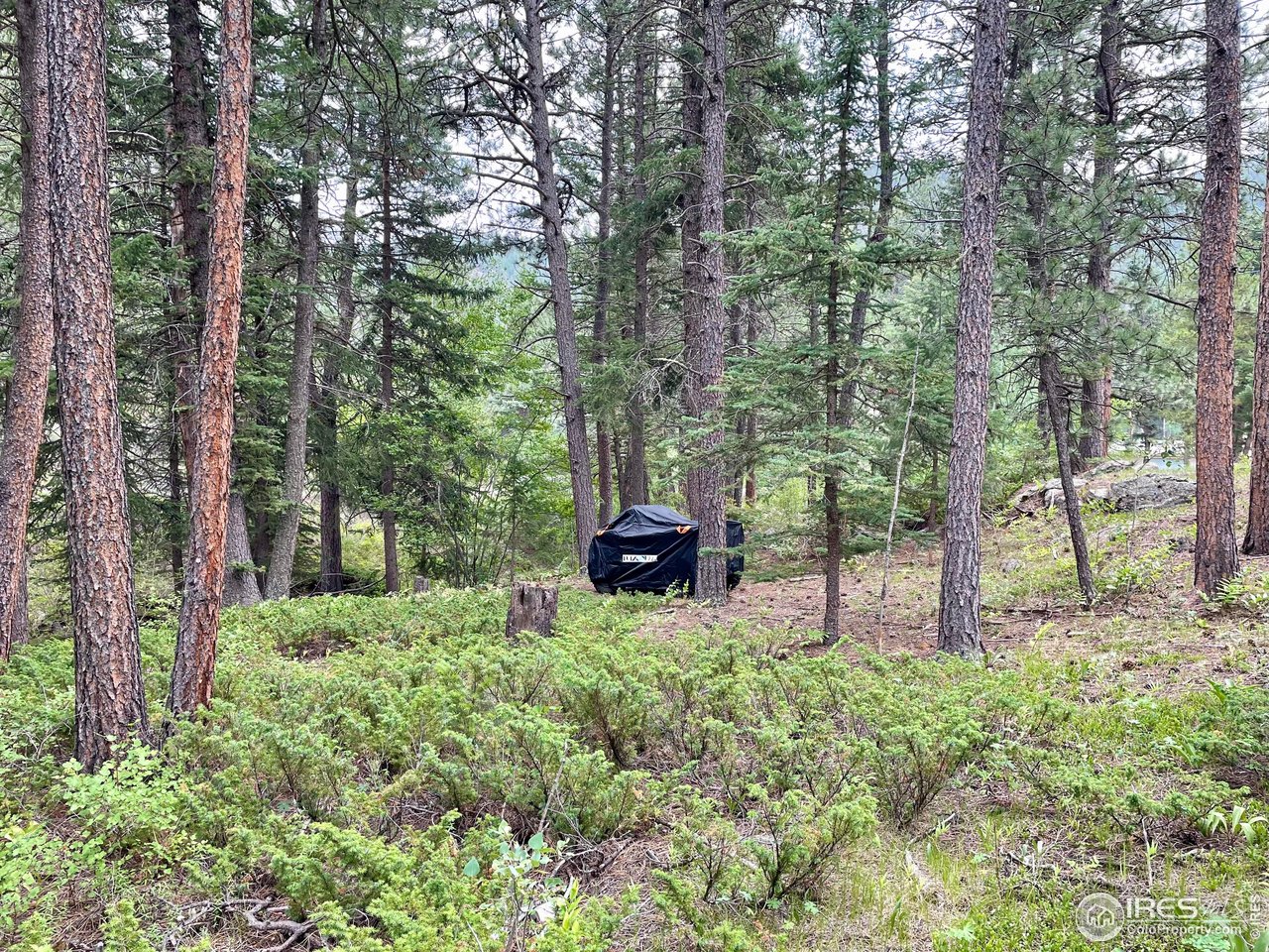 0 Hemlock Drive Lyons, CO 80540 - Photo 10 of 32 a view of a backyard with large trees