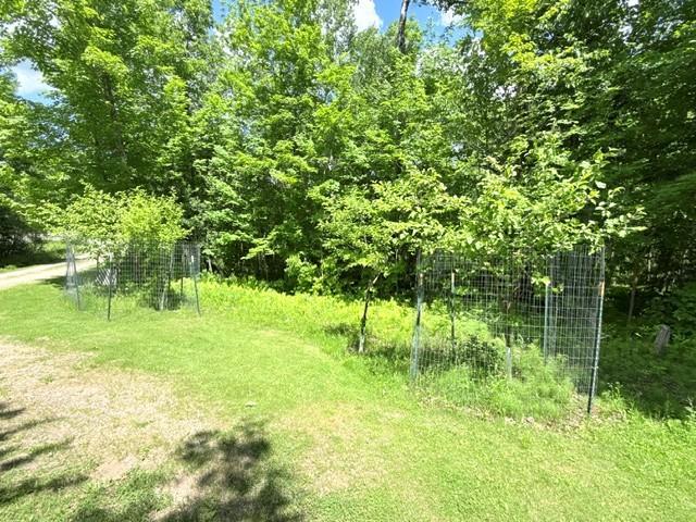 24353 Hines Road Northeast Hines, MN 56647 - Photo 8 of 22