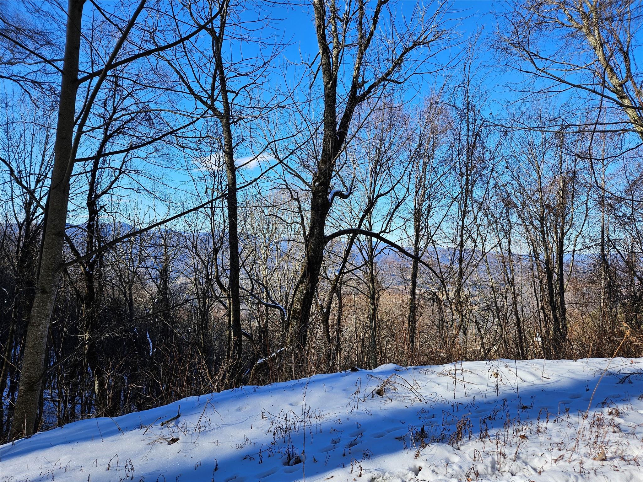 0 Marney's Vista Road Waynesville, NC 28786 - Photo 2 of 4 a view of a backyard of the house