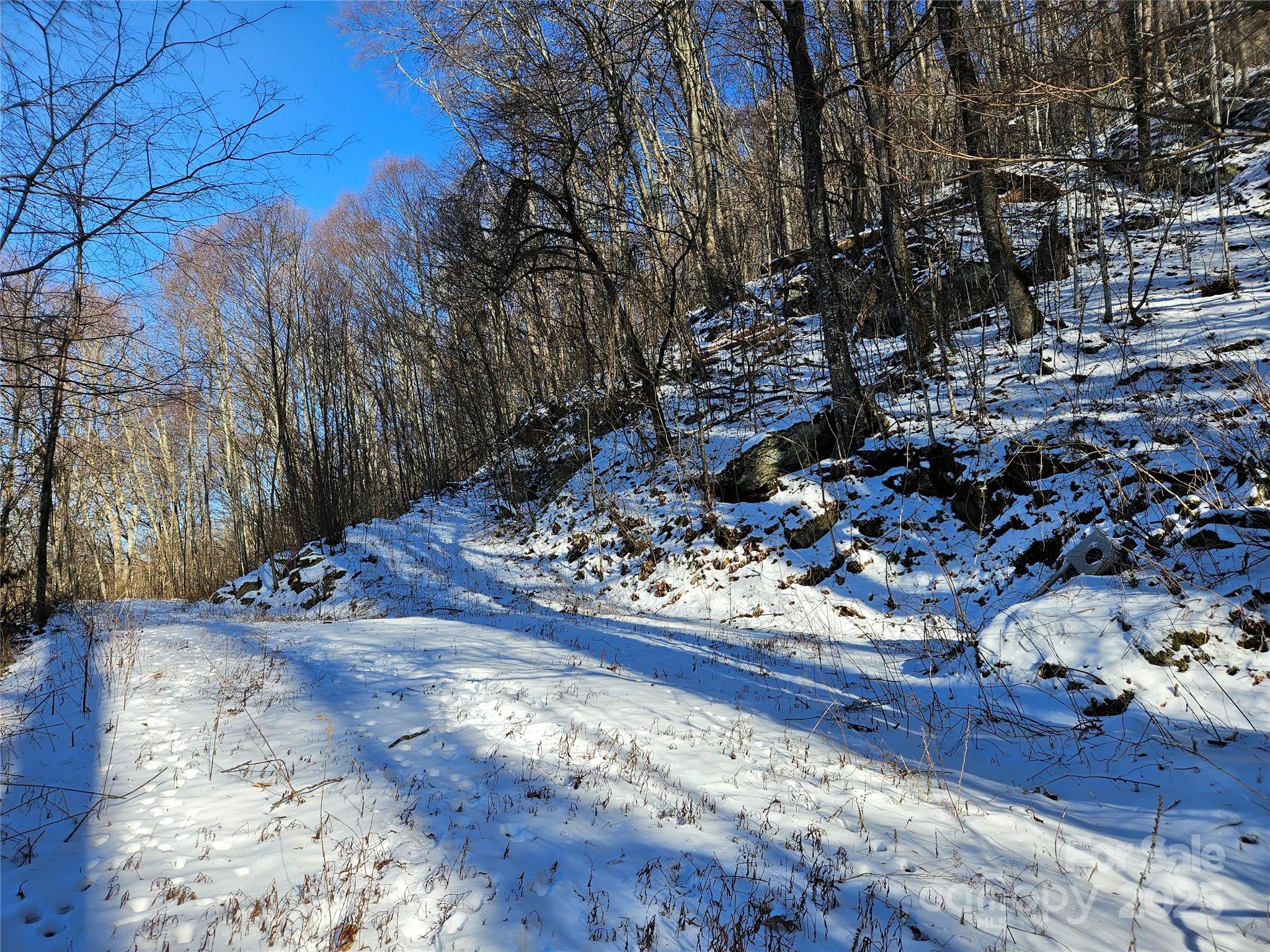 0 Marney's Vista Road Waynesville, NC 28786 - Photo 3 of 4 a view of a yard with wooden fence