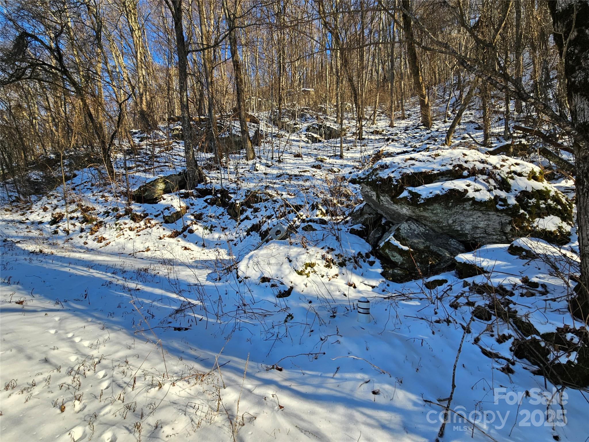 0 Marney's Vista Road Waynesville, NC 28786 - Photo 4 of 4 a view of a yard with wooden fence