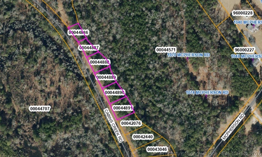 Tbd Cabins Creek Road Vass, NC 28394 - Photo 8 of 9
