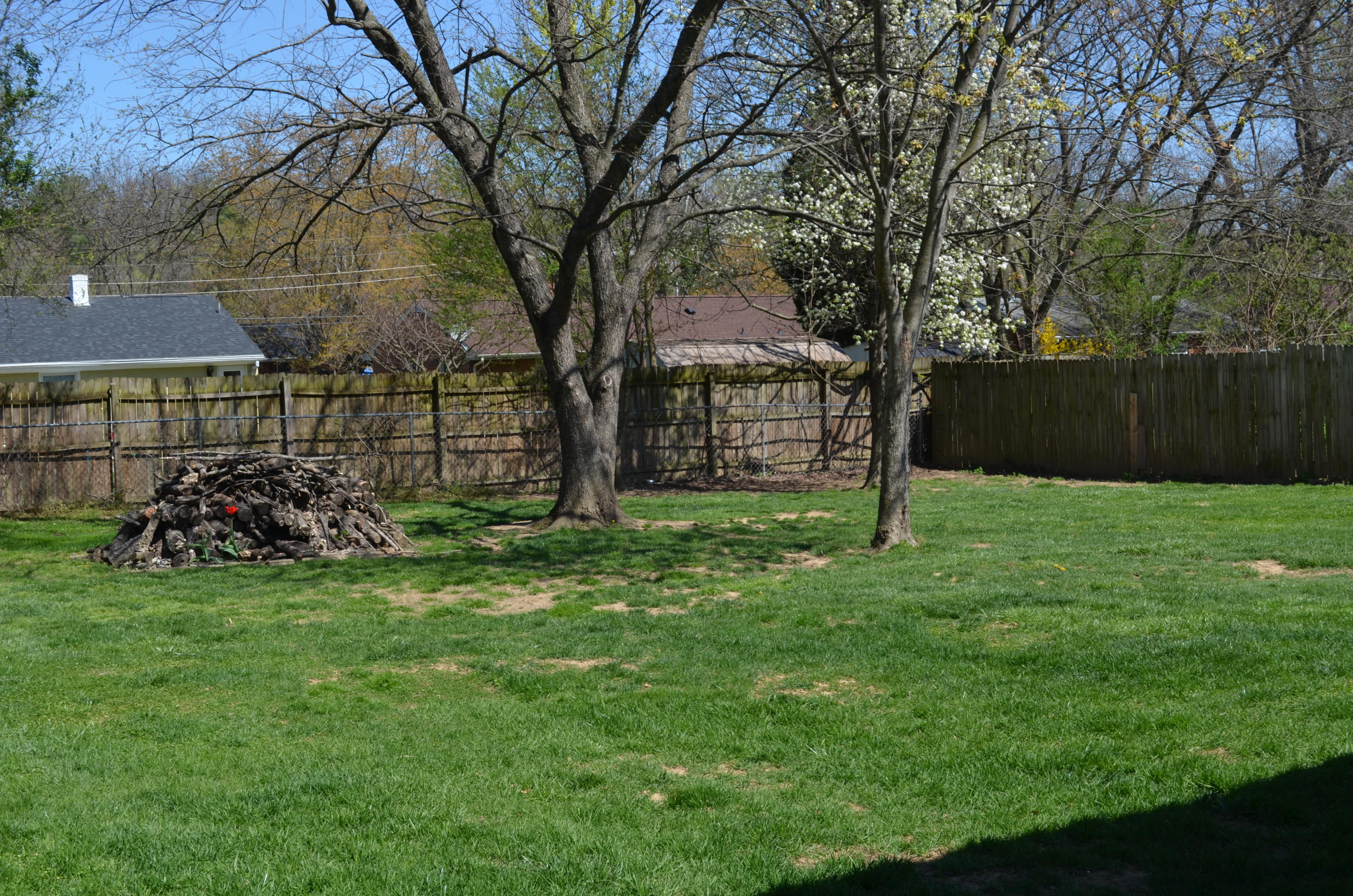 1927 Laura Road Northwest Roanoke, VA 24017 - Photo 17 of 19 a view of a yard with a bike and a tree