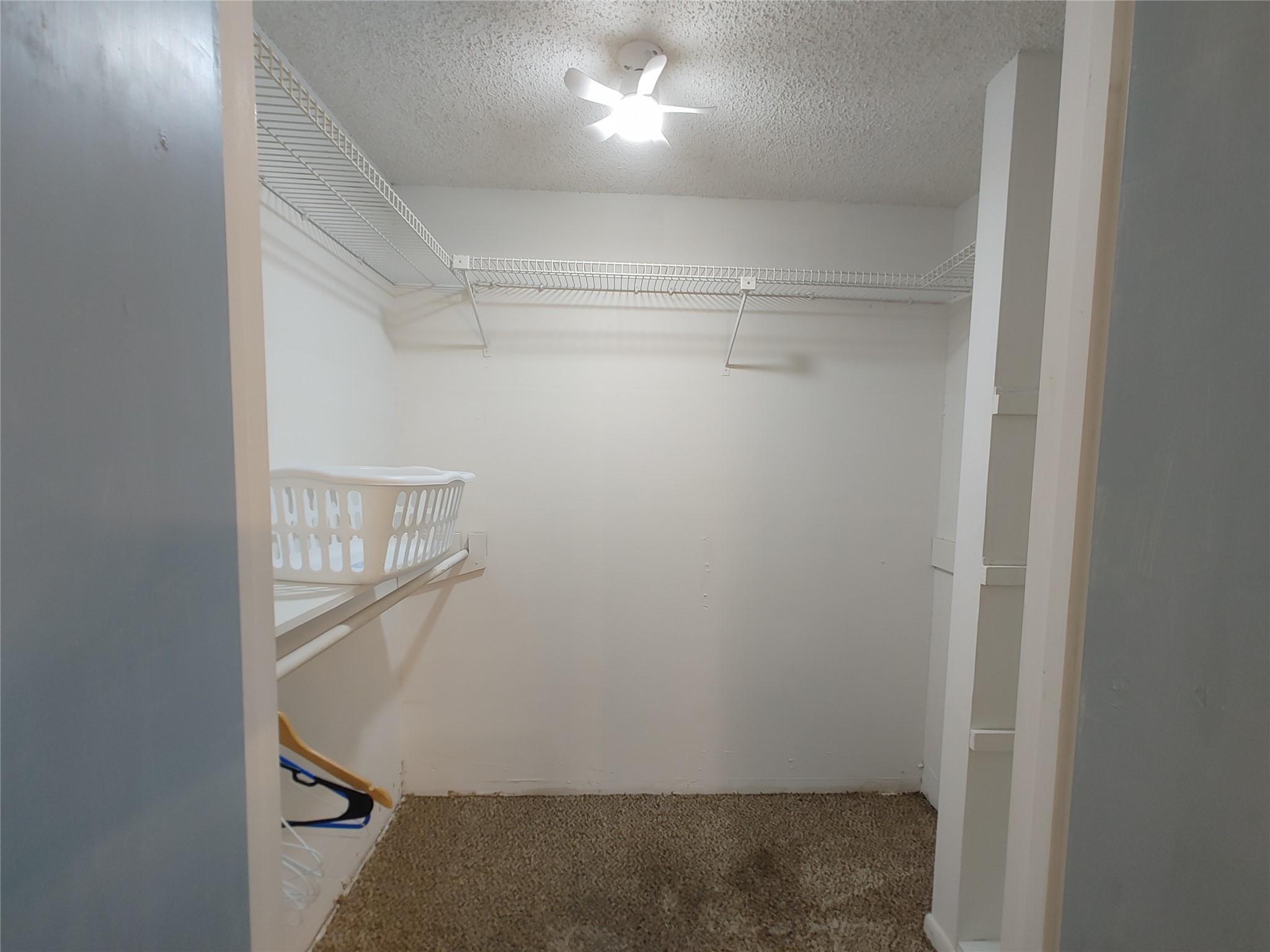 9711 Ebb Street Houston, TX 77089 - Photo 28 of 28 Guest House Closet