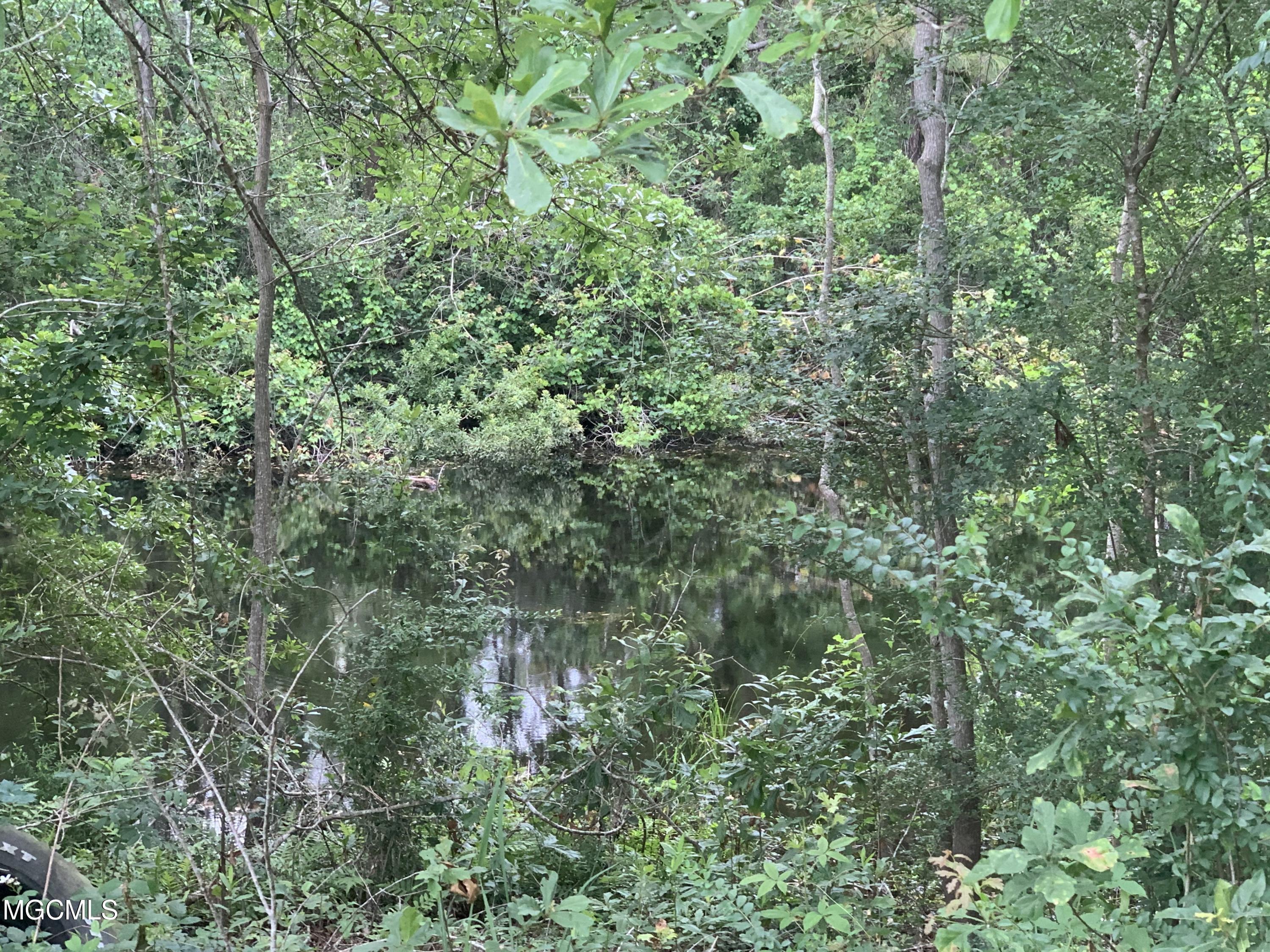 21491 John Holder Road Moss Point, MS 39562 - Photo 23 of 31 96814D0C-8478-4DA5-8976-C5F7341C7B3C