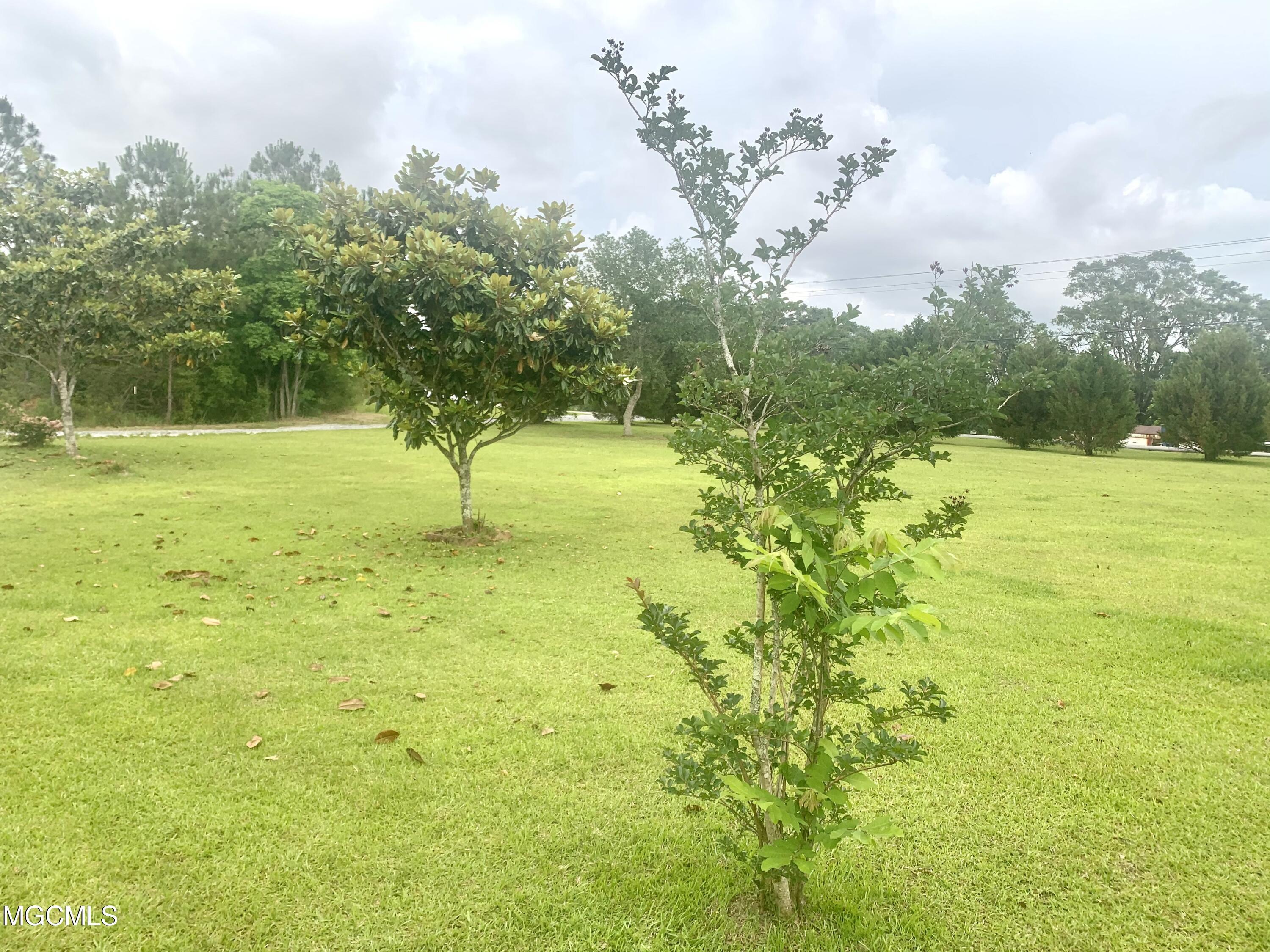 21491 John Holder Road Moss Point, MS 39562 - Photo 3 of 31 Additional Photo