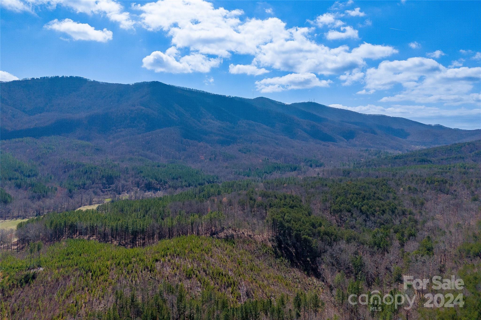 a view of a lush green mountain