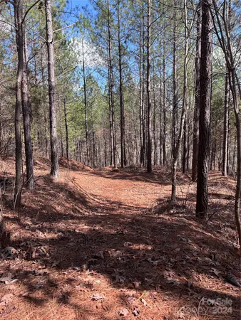 a view of outdoor space with trees