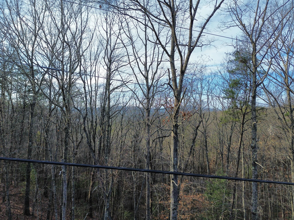 2 Century Lane Blue Ridge, GA 30513 - Photo 37 of 50 Gallery Image 37