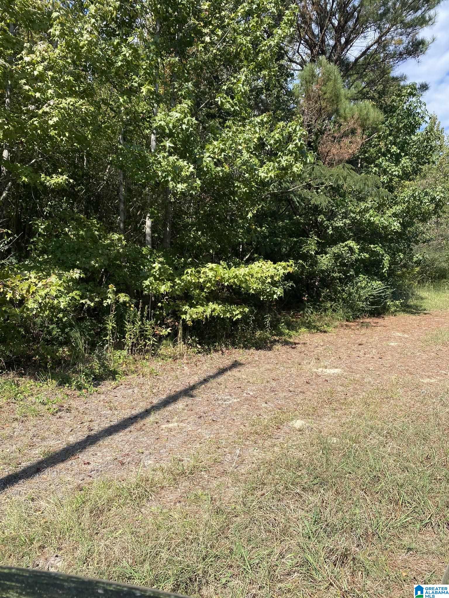 77 Armstrong Road, Unit 1 Ashville, AL 35953 - Photo 5 of 8