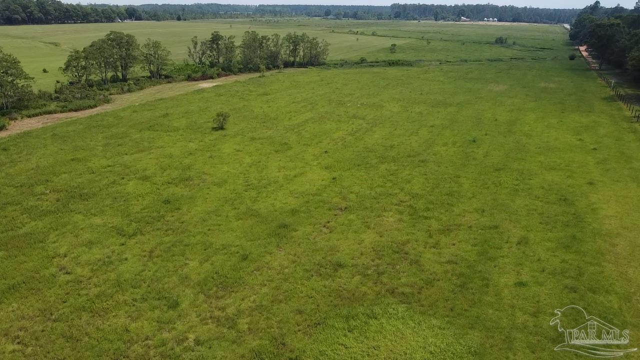 8221 Jakes Road McDavid, FL 32568 - Photo 1 of 26 Gallery Image 1