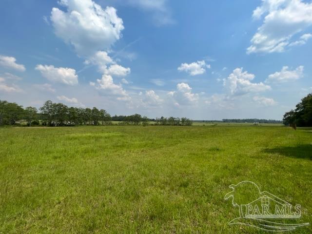 8221 Jakes Road McDavid, FL 32568 - Photo 14 of 26 Gallery Image 14