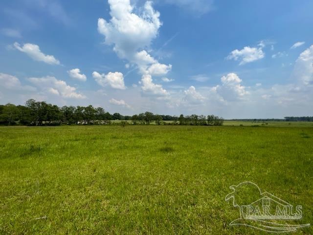 8221 Jakes Road McDavid, FL 32568 - Photo 18 of 26 Gallery Image 18