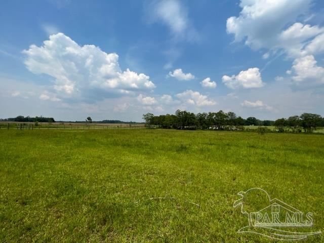 8221 Jakes Road McDavid, FL 32568 - Photo 5 of 26 Gallery Image 5