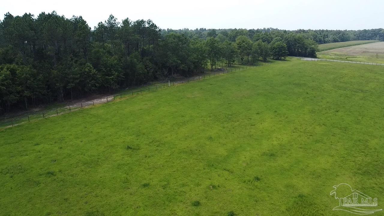 8221 Jakes Road McDavid, FL 32568 - Photo 8 of 26 Gallery Image 8