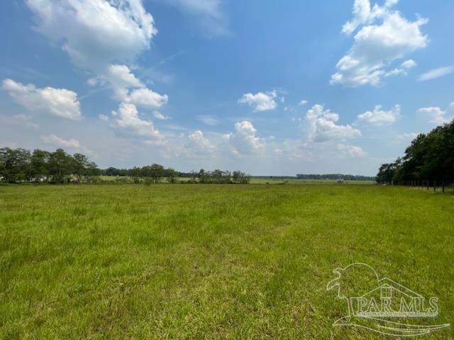 8221 Jakes Road McDavid, FL 32568 - Photo 9 of 26 Gallery Image 9