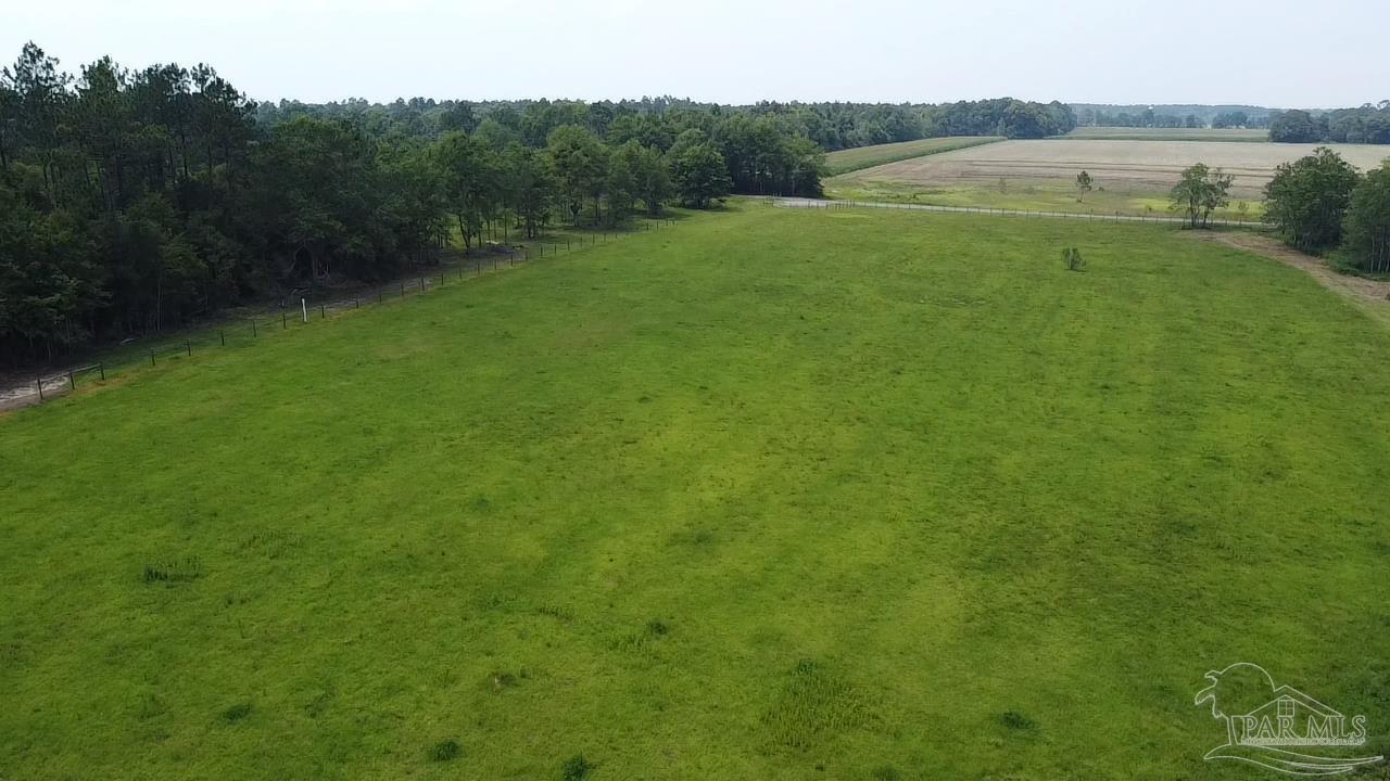 8221 Jakes Road McDavid, FL 32568 - Photo 10 of 26 Gallery Image 10