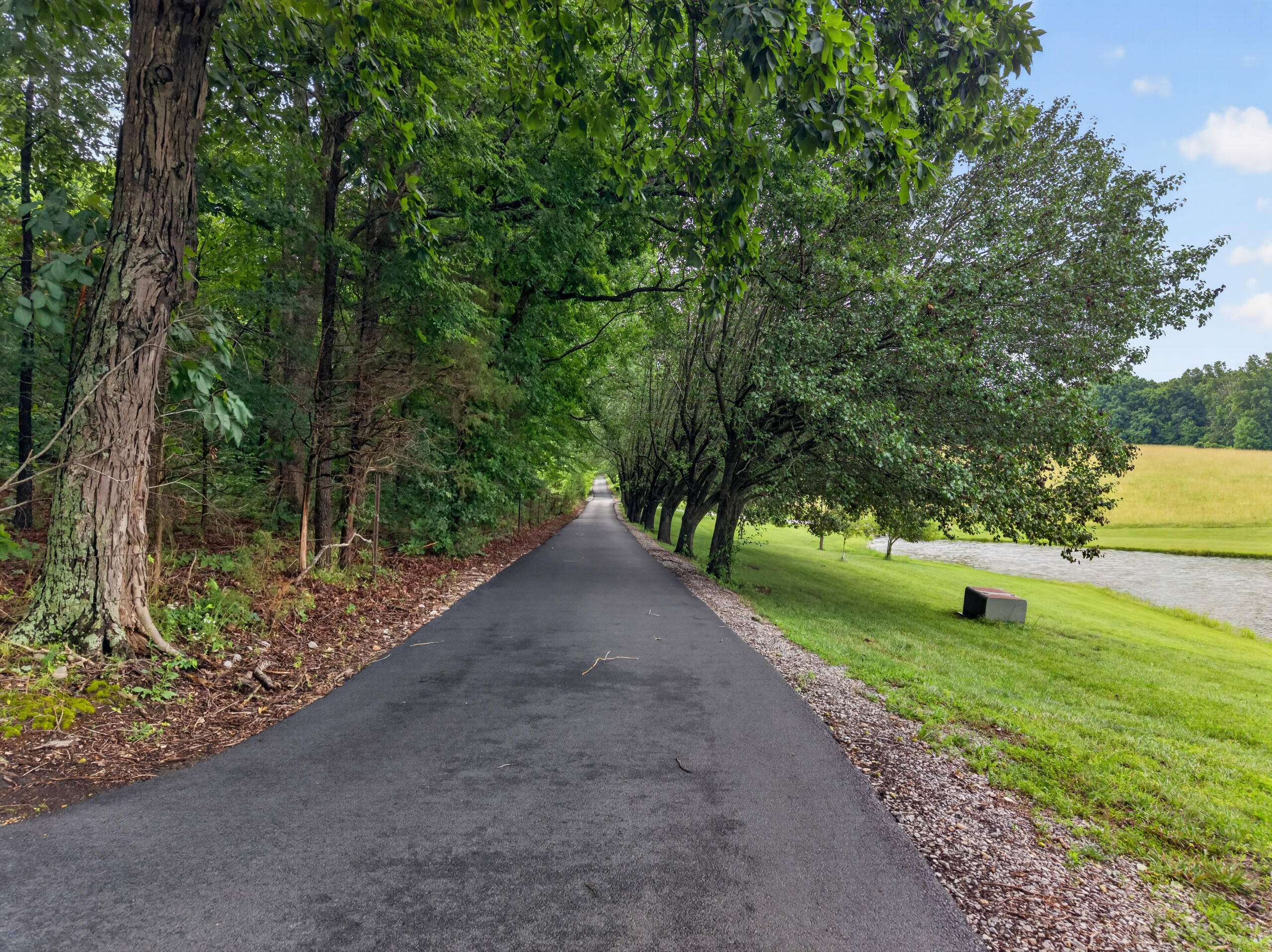 848 Paradise Road Grand Rivers, KY 42045 - Photo 12 of 75 DJI_20260612111438_0489_D