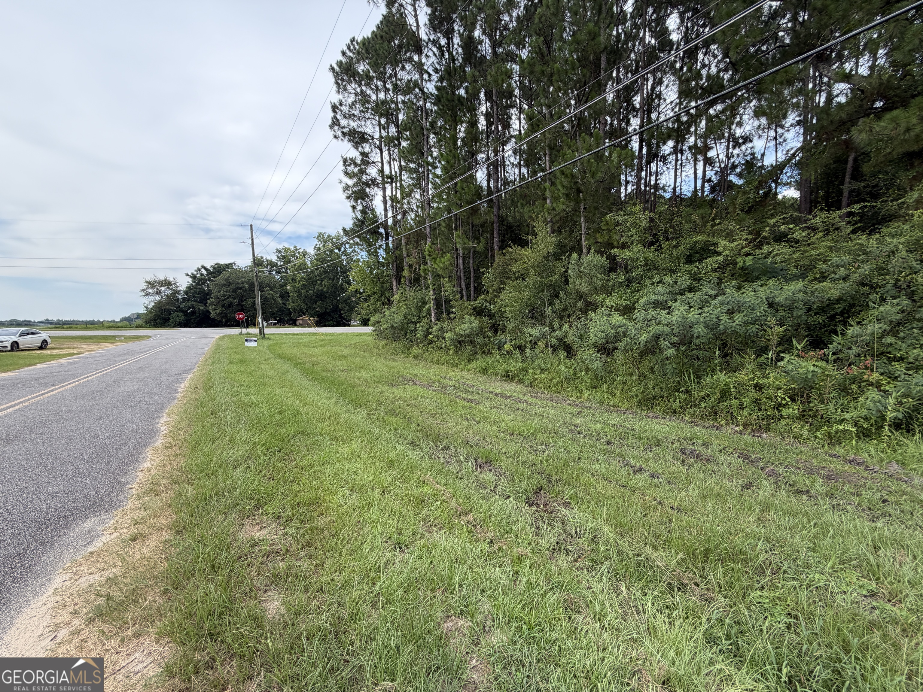 77-acre 77-acre Leary North Road Ashburn, GA 31714 - Photo 2 of 11