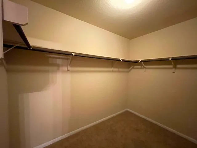 a view of backyard with wooden fence and large trees