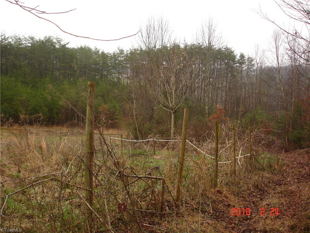 1370 Pell Road Pilot Mountain, NC 27041 - Photo 14 of 16 Gallery Image 14