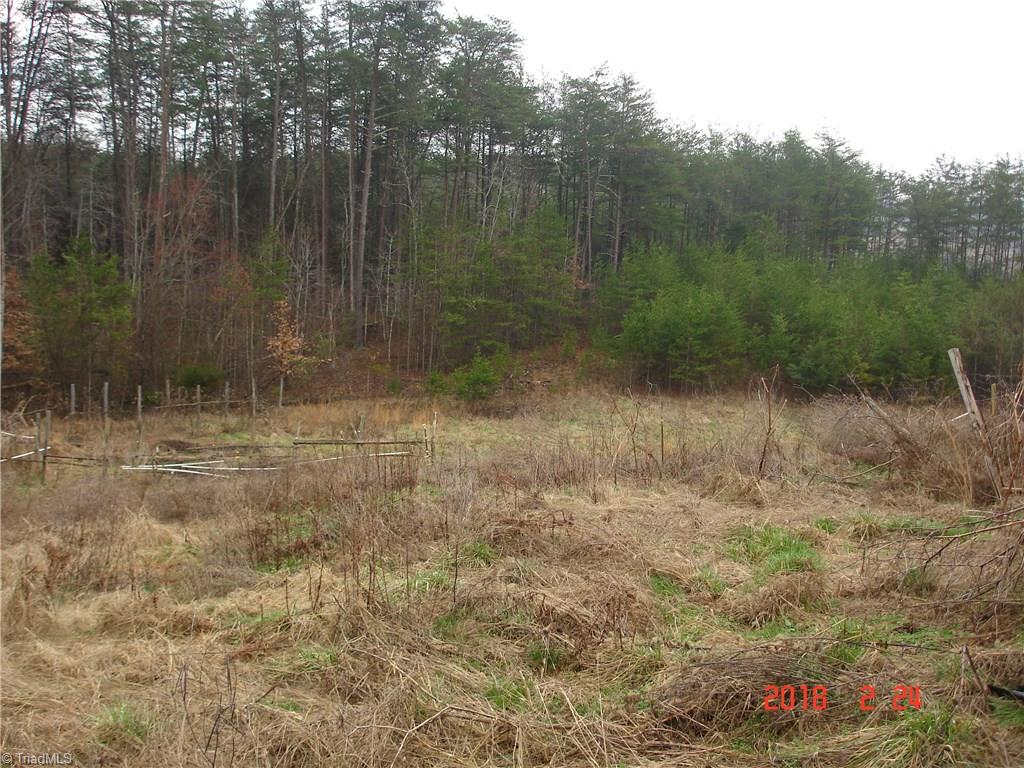 1370 Pell Road Pilot Mountain, NC 27041 - Photo 15 of 16 Gallery Image 15