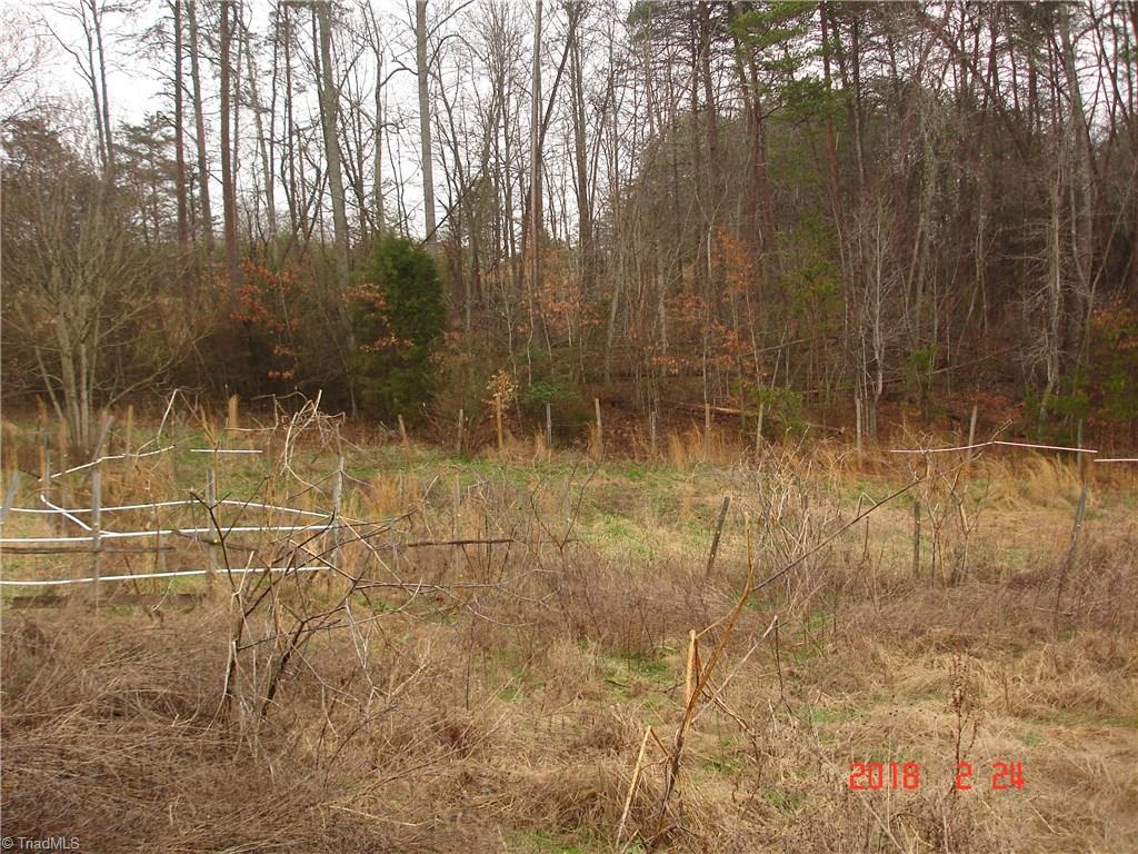 1370 Pell Road Pilot Mountain, NC 27041 - Photo 16 of 16 Gallery Image 16