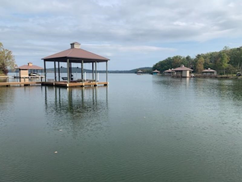 412 Waterfront Way Spring City, TN 37381 - Photo 5 of 17