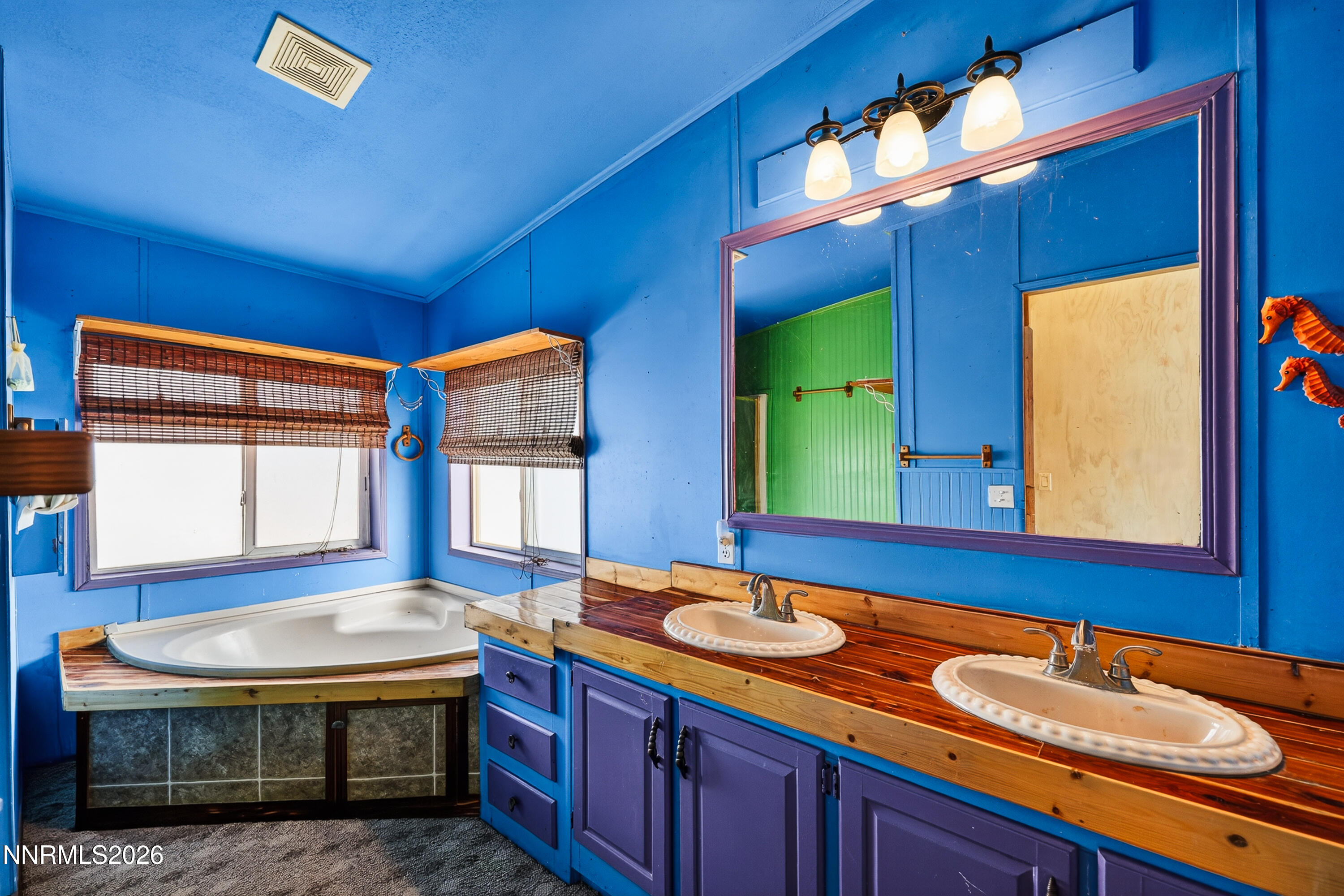 6877 Victor Drive Fallon, NV 89406 - Photo 8 of 50 a bathroom with a sink and a mirror