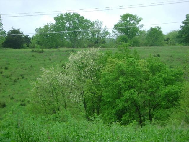 3702 Union Ridge Road Frankfort, KY 40601 - Photo 7 of 12 Photo 7