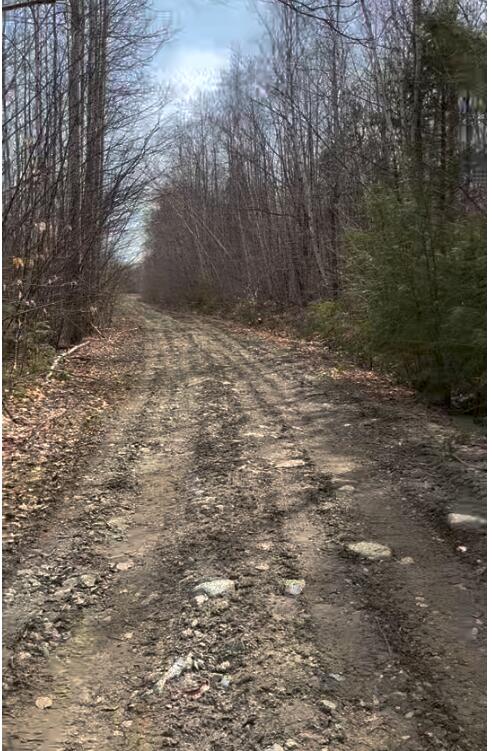 Lot 11 Fern Road Dover-Foxcroft, ME 04426 - Photo 2 of 7 Road In To First Marking