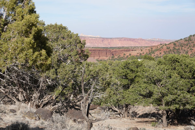 1115 East Donkey Flts Road Teasdale, UT 84773 - Photo 4 of 13