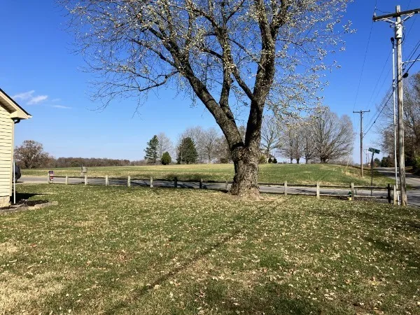 a view of a yard with a tree