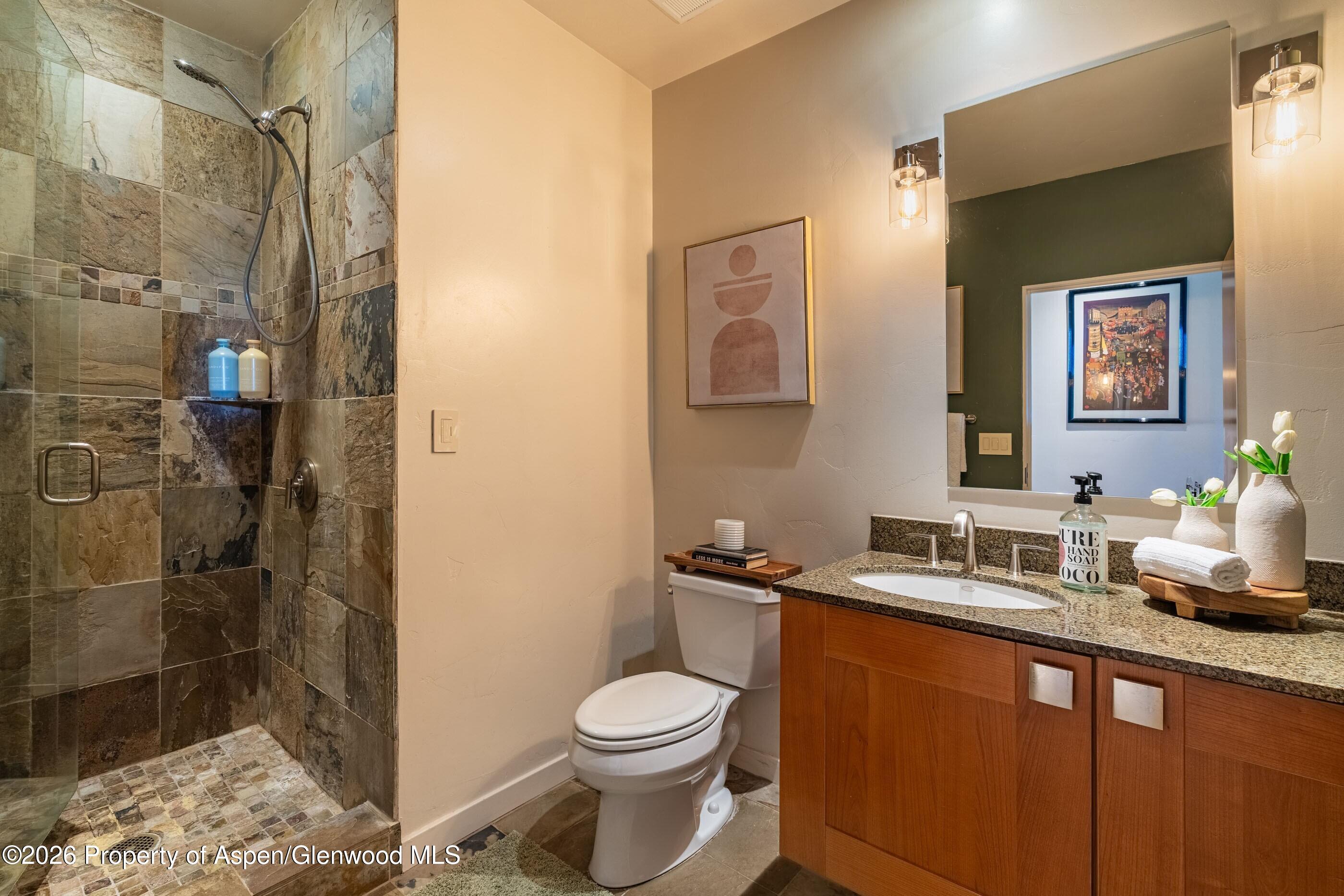 231 Robinson Street, Unit 320 Basalt, CO 81621 - Photo 14 of 22 Guest Bath
