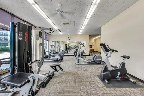 $3,700 | 1455 North Sandburg Terrace, Unit 2901B, Chicago, IL 60610