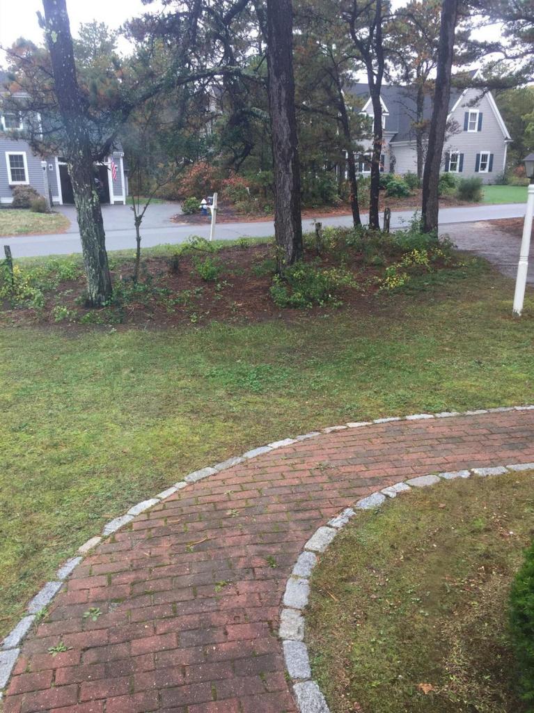17 Wintergreen Road Mashpee, MA 02649 - Photo 4 of 34 a view of outdoor space with green field and trees