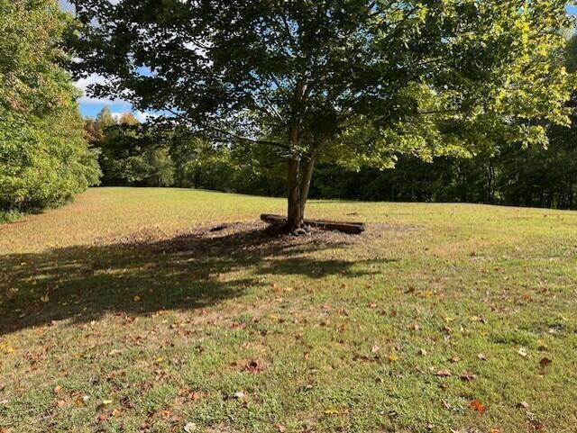 23875 Mathias Road South Bloomingville, OH 43152 - Photo 20 of 89 thumbnail_IMG_8820