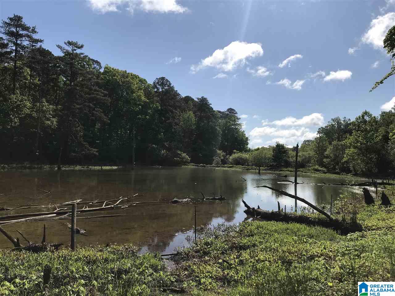 0 Steele Gap Road North, Unit 11 4 Steele, AL 35987 - Photo 3 of 26
