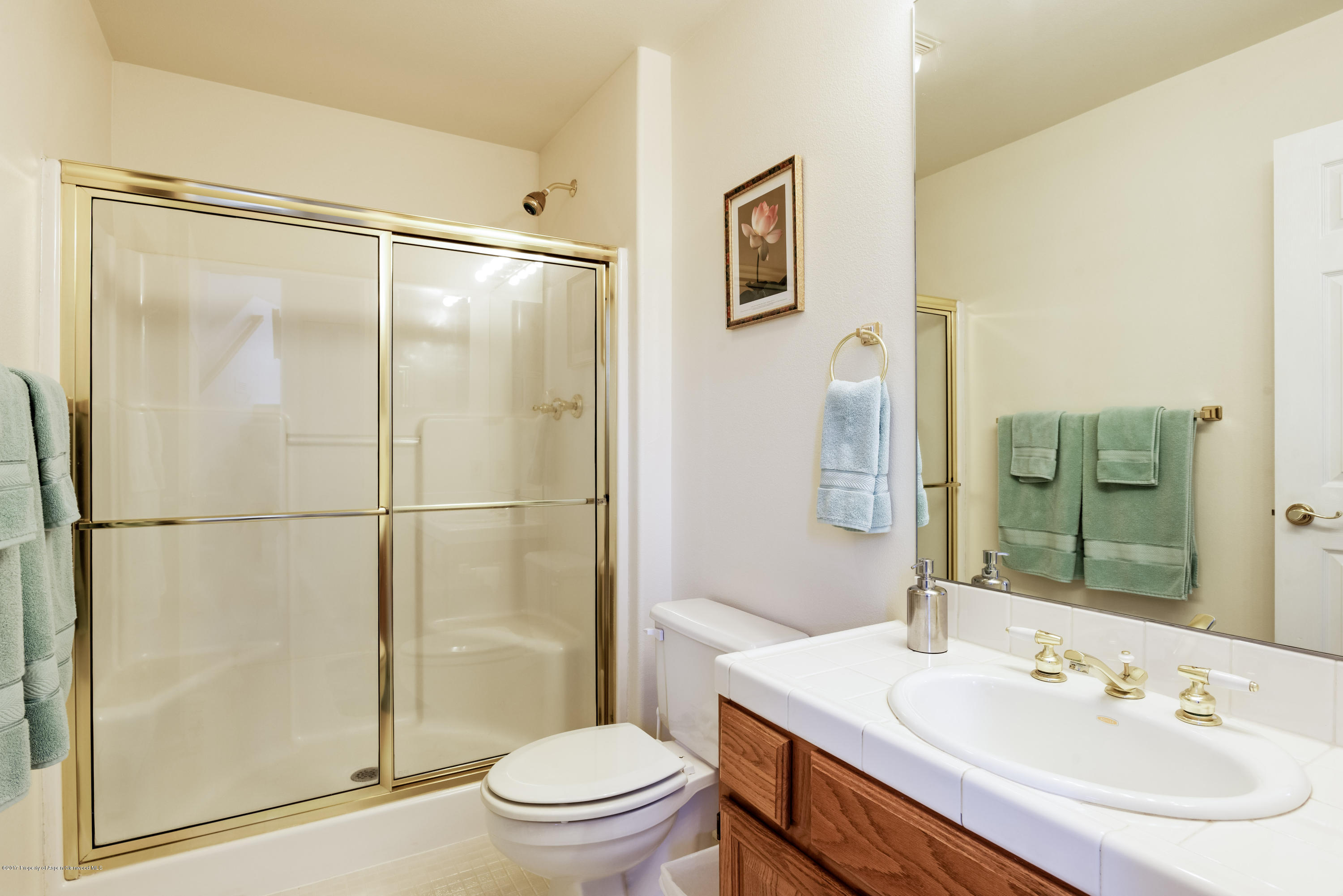1521 Mockingbird Lane Basalt, CO 81621 - Photo 15 of 15 1521Mockingbird_HiRes014