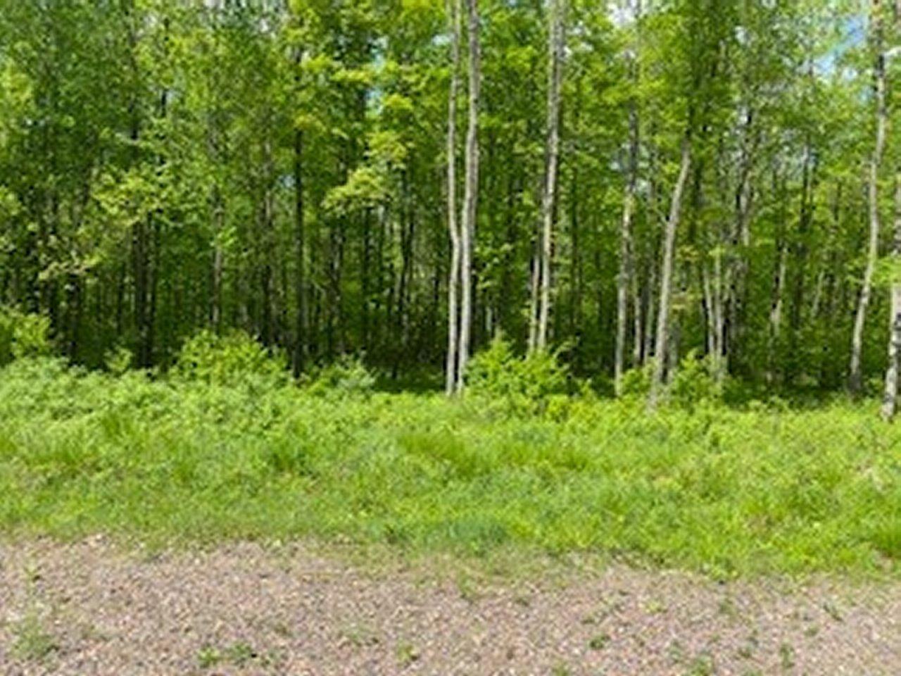 5105 Lake Winter Road Winter, WI 54896 - Photo 7 of 16 Gallery Image 7