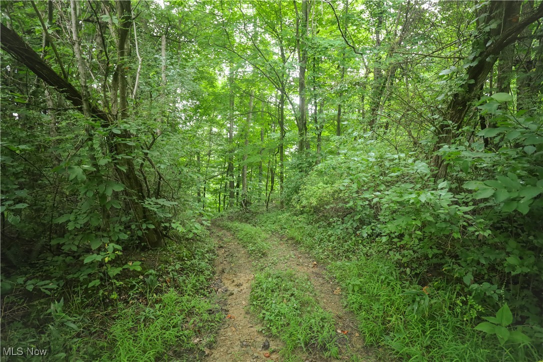 30939 Jacks Run Road Quaker City, OH 43773 - Photo 42 of 48 Gallery Image 42