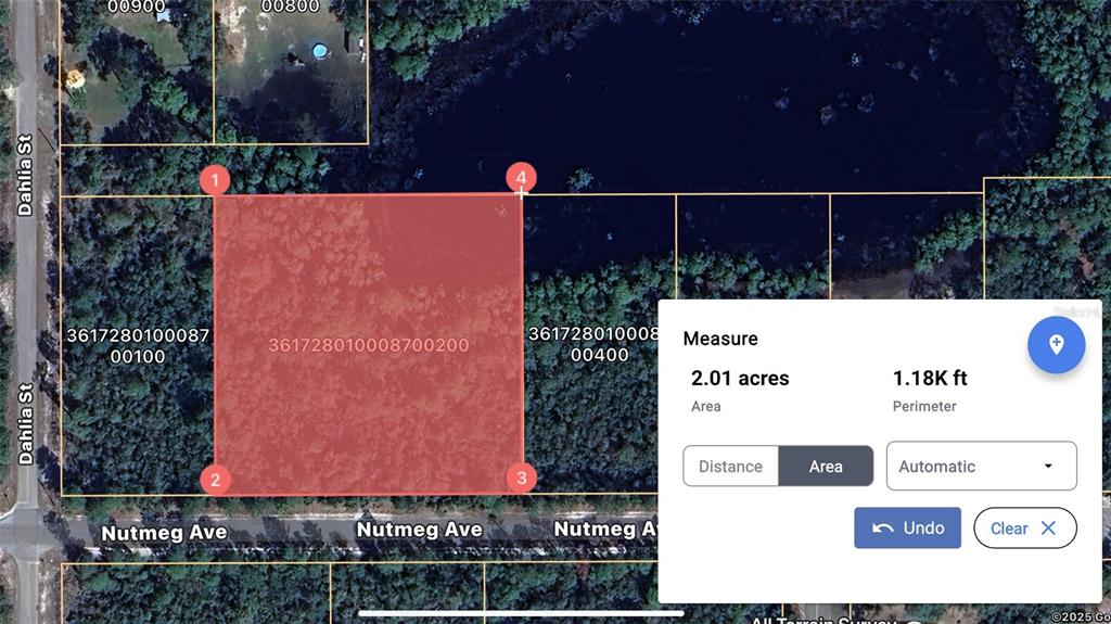 Nutmeg Avenue Eustis, FL 32736 - Photo 2 of 2 a picture of wall