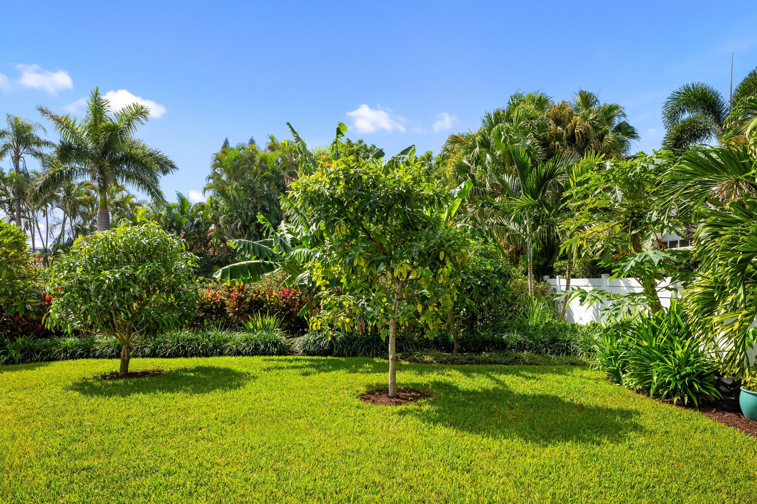 843 Northeast Mulberry Drive Boca Raton, FL 33487 - Photo 43 of 57 a backyard of a house with lots of green space