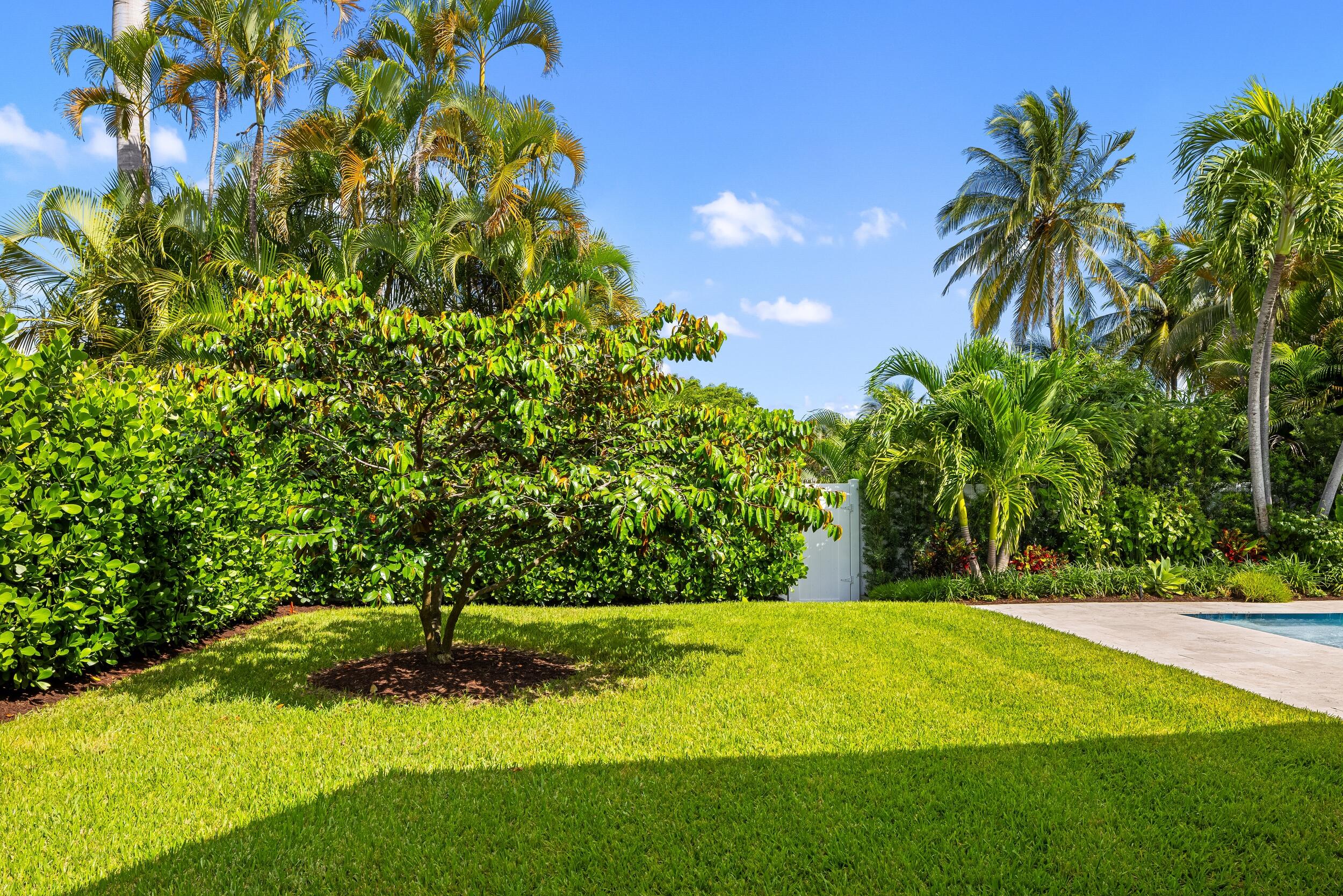 843 Northeast Mulberry Drive Boca Raton, FL 33487 - Photo 44 of 57 a view of a yard