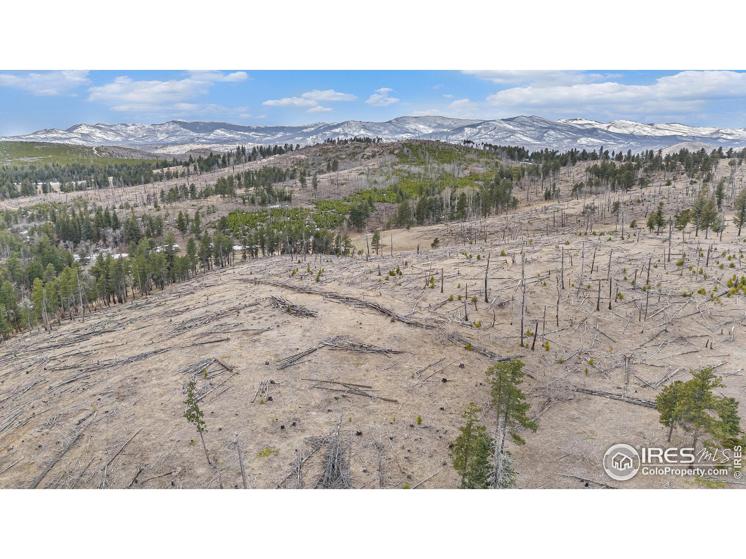 0 Tip Top Road Bellvue, CO 80512 - Photo 10 of 18 a view of an outdoor space