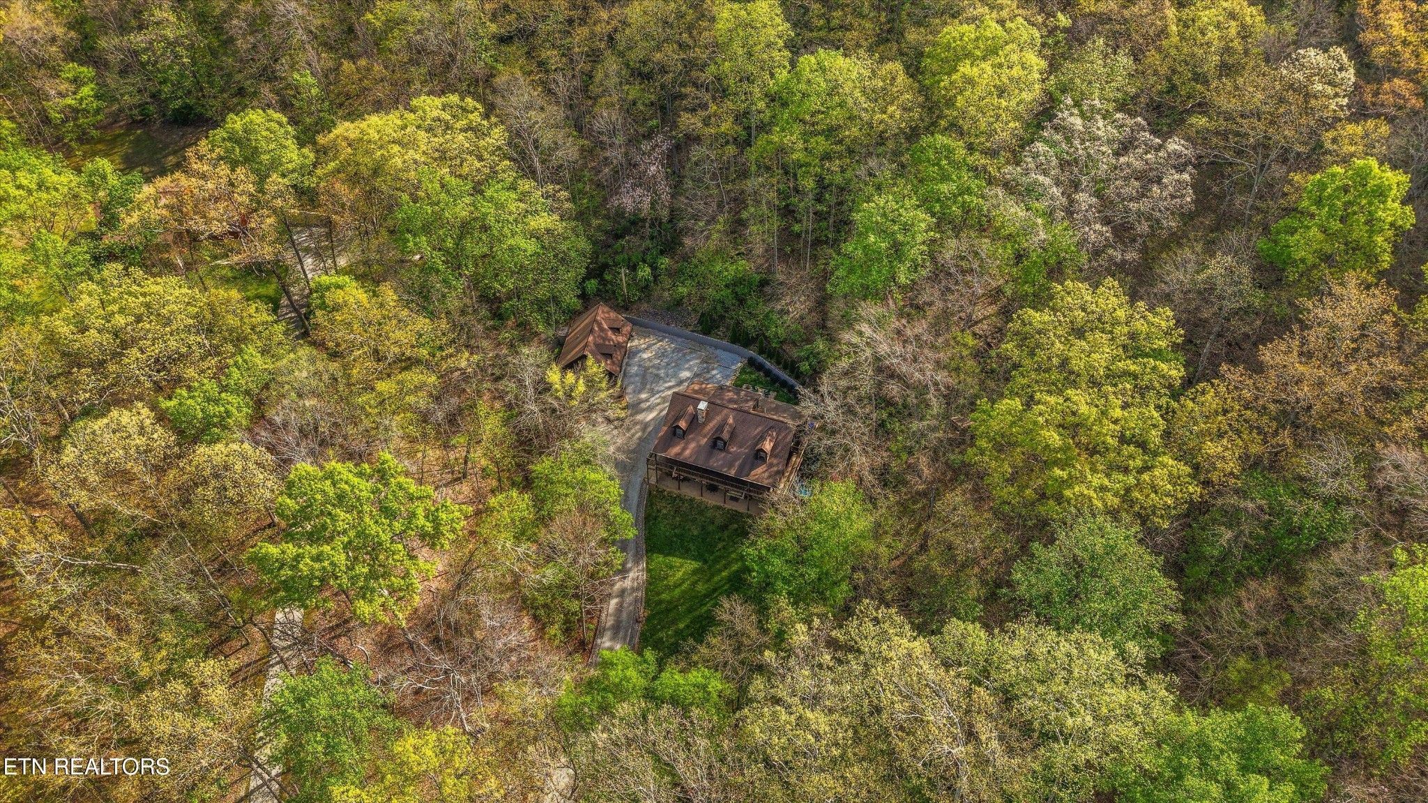 257 Lone Ridge Lane Heiskell, TN 37754 - Photo 56 of 60 a view of a yard with plants and large trees