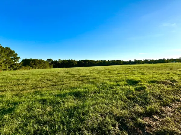 $1,298,999 | T-1 Hoke Road, Richards, TX 77873