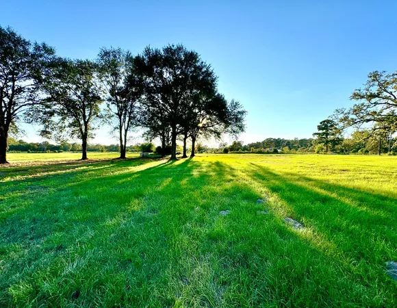 $1,298,999 | T-1 Hoke Road, Richards, TX 77873