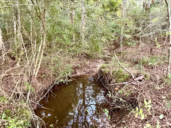 $1,298,999 | T-1 Hoke Road, Richards, TX 77873